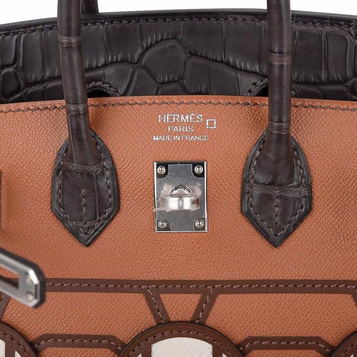 Hermès Birkin 20 Sellier Faubourg Brown Multicolor Madame, Crocodile