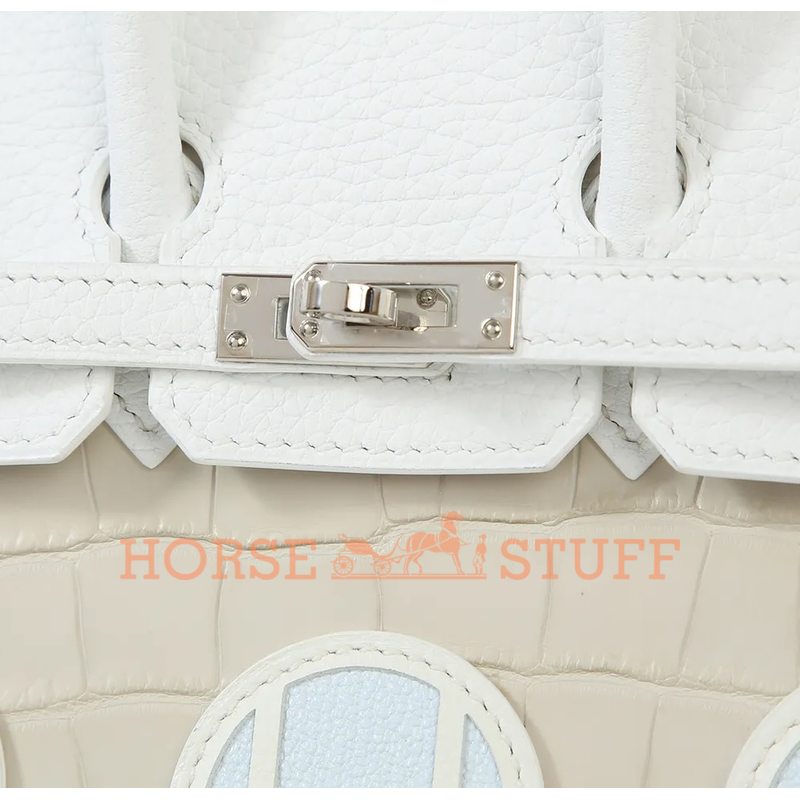 Hermès Birkin Sellier 20 Limited Edition Super Rare Faubourg ( House ) Snowy White Clemence / Matte Crocodile Alligator / Sombrero / Chèvre PHW