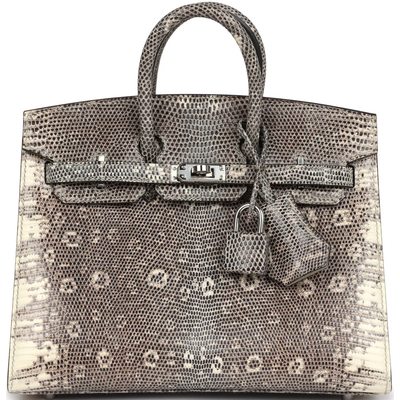 Hermès Birkin Sellier 20 Ombre Shiny Salvator Varanus Lizard PHW