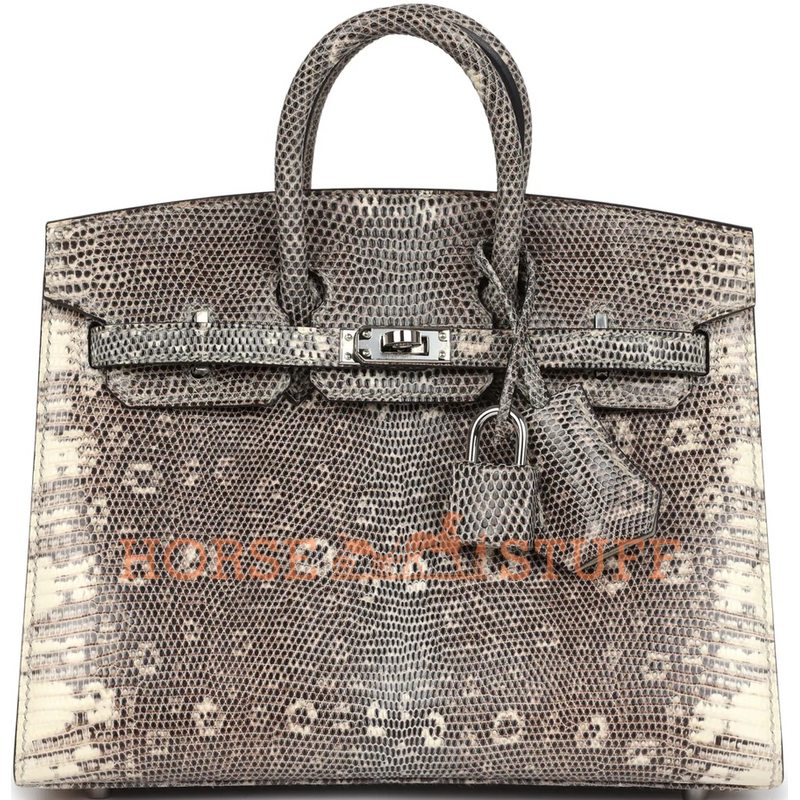 Hermès Birkin Sellier 20 Ombre Shiny Salvator Varanus Lizard PHW