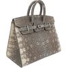 Hermès Birkin Sellier 20 Ombre Shiny Salvator Varanus Lizard PHW