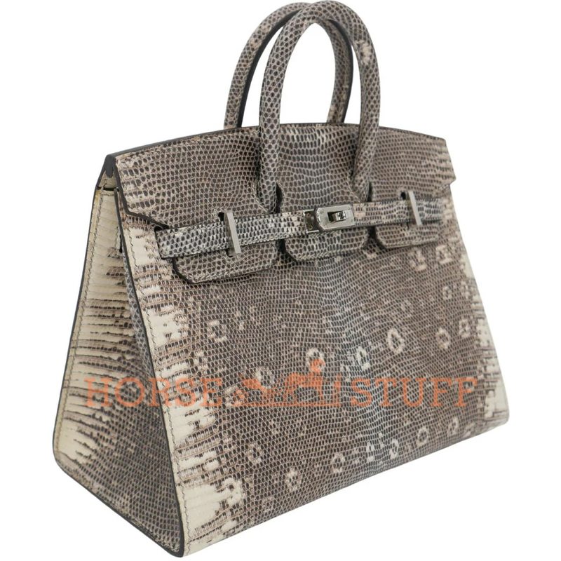 Hermès Birkin Sellier 20 Ombre Shiny Salvator Varanus Lizard PHW