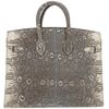 Hermès Birkin Sellier 20 Ombre Shiny Salvator Varanus Lizard PHW