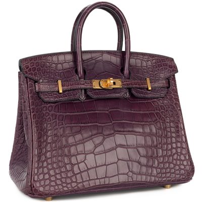 Hermès Birkin 25 Amethyst Matte Crocodile Alligator GHW