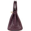 Hermès Birkin 25 Amethyst Matte Crocodile Alligator GHW