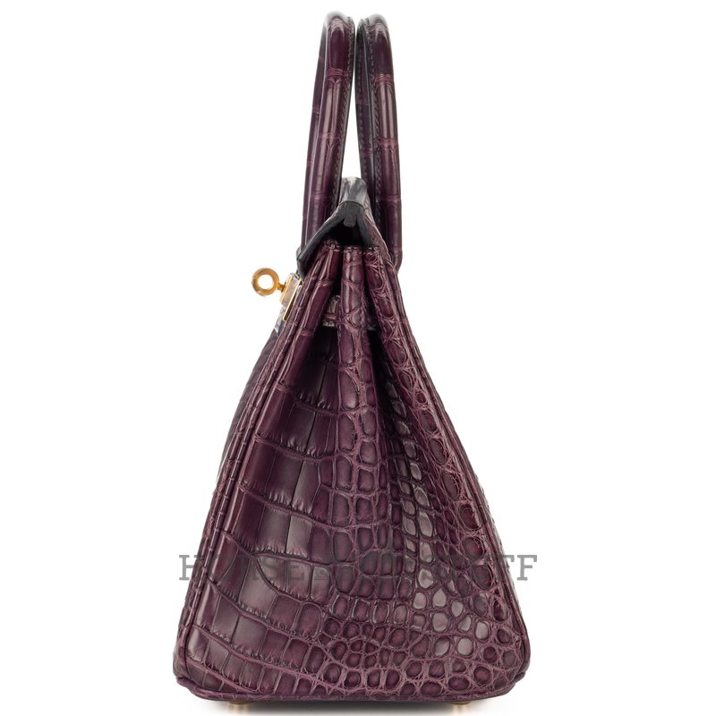 Hermès Birkin 25 Amethyst Matte Crocodile Alligator GHW
