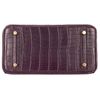 Hermès Birkin 25 Amethyst Matte Crocodile Alligator GHW