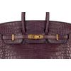 Hermès Birkin 25 Amethyst Matte Crocodile Alligator GHW