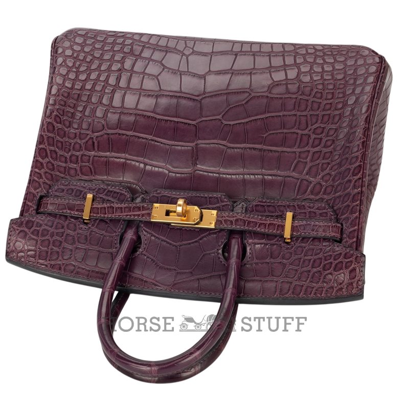 Hermès Birkin 25 Amethyst Matte Crocodile Alligator GHW