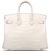 Hermès Birkin 25 Beton Matte Crocodile Alligator GHW