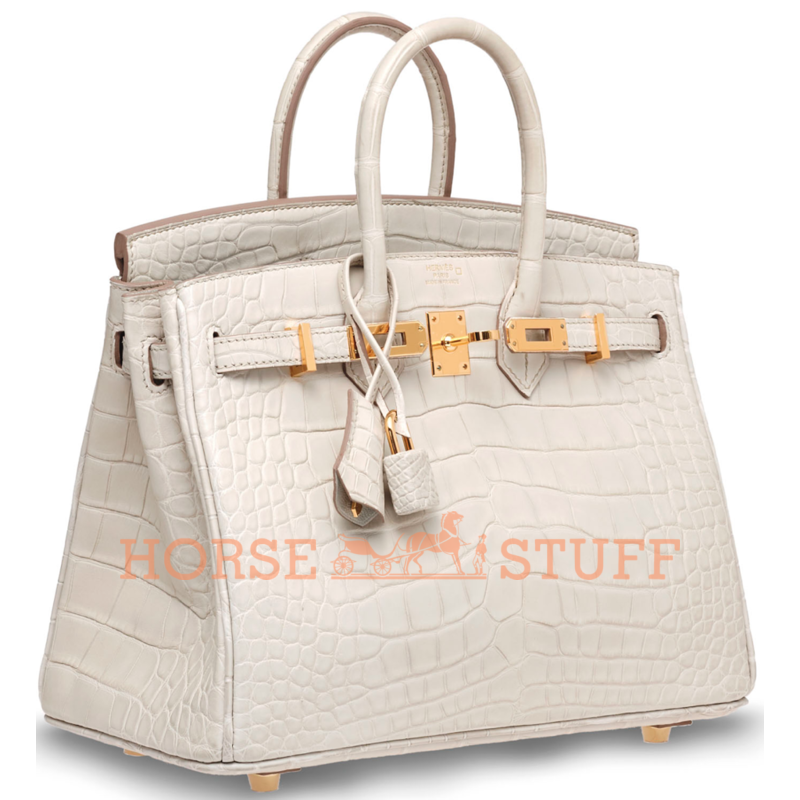 Hermès Birkin 25 Beton Matte Crocodile Alligator GHW