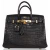 Hermès Birkin 25 Black Matte Crocodile Alligator GHW