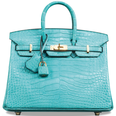 Hermès Birkin 25 Blue Saint Cyr Matte Crocodile Alligator GHW