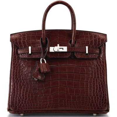 Hermès Birkin 25 Bordeaux Matte Crocodile Alligator PHW