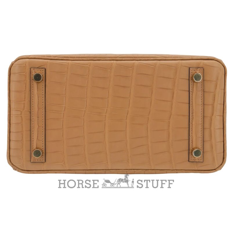 Hermès Birkin 25 Chai Matte Crocodile Alligator GHW