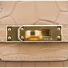Hermès Birkin 25 Chai Matte Crocodile Alligator GHW