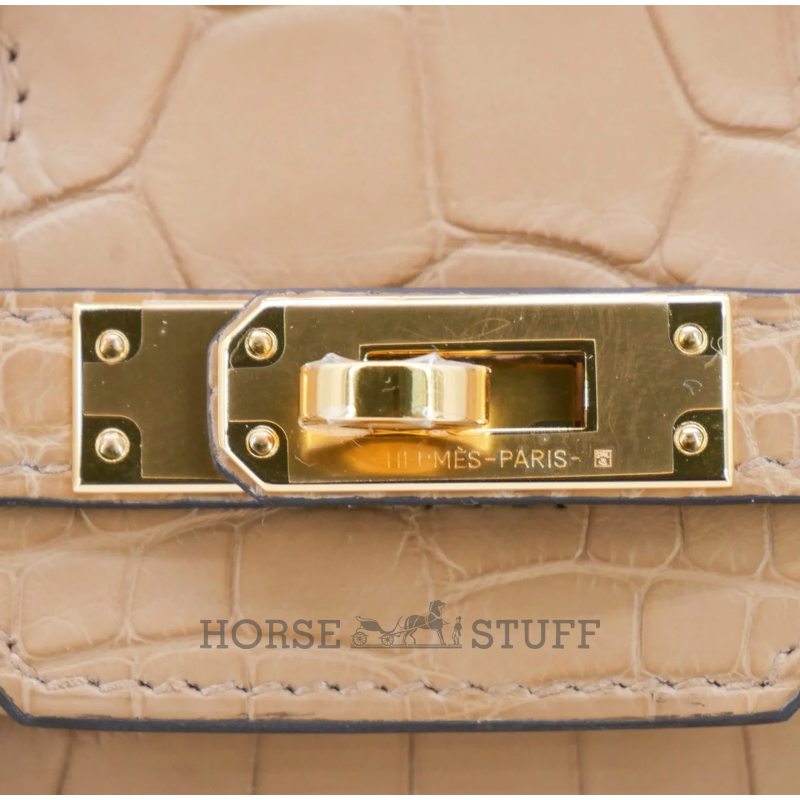 Hermès Birkin 25 Chai Matte Crocodile Alligator GHW