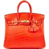 Hermès Birkin 25 Geranium Matte Crocodile Alligator GHW