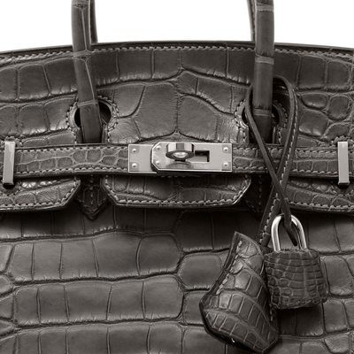 Hermès Birkin 25 Graphite Matte Crocodile Alligator PHW