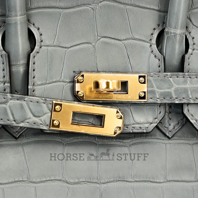 Hermès Birkin 25 Gris Ciment Matte Crocodile Alligator GHW