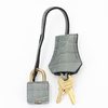 Hermès Birkin 25 Gris Ciment Matte Crocodile Alligator GHW