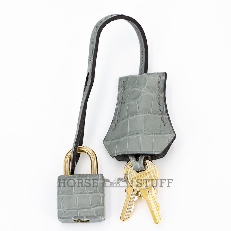 Hermès Birkin 25 Gris Ciment Matte Crocodile Alligator GHW