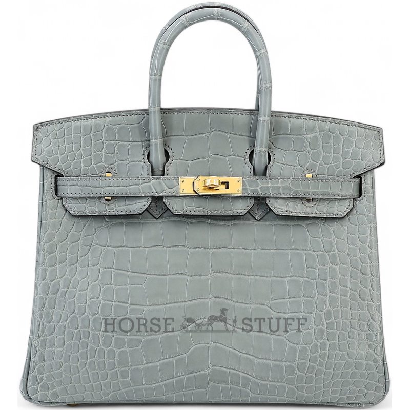 Hermès Birkin 25 Gris Ciment Matte Crocodile Alligator GHW