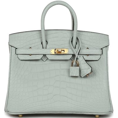 Hermès Birkin 25 Gris Neve Matte Crocodile Alligator GHW