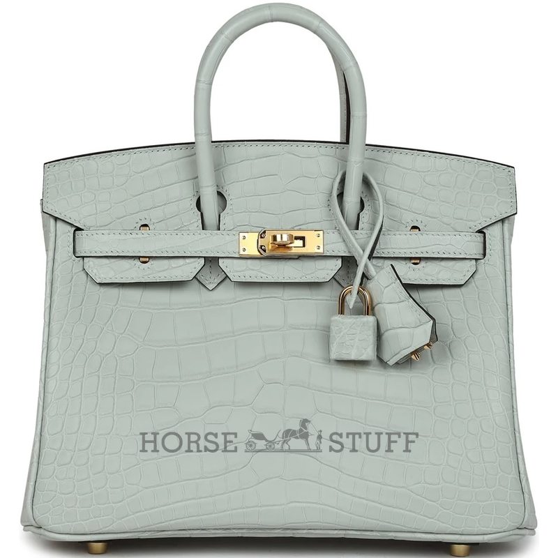 Hermès Birkin 25 Gris Neve Matte Crocodile Alligator GHW
