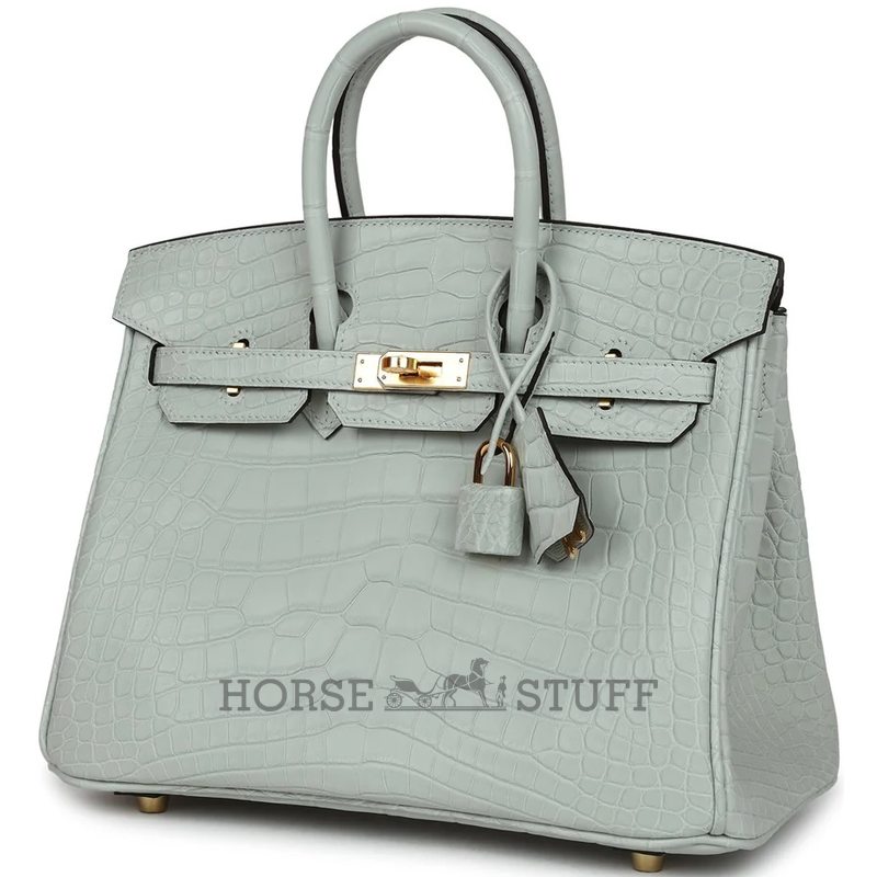 Hermès Birkin 25 Gris Neve Matte Crocodile Alligator GHW