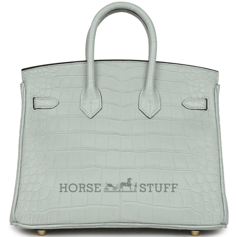 Hermès Birkin 25 Gris Neve Matte Crocodile Alligator GHW