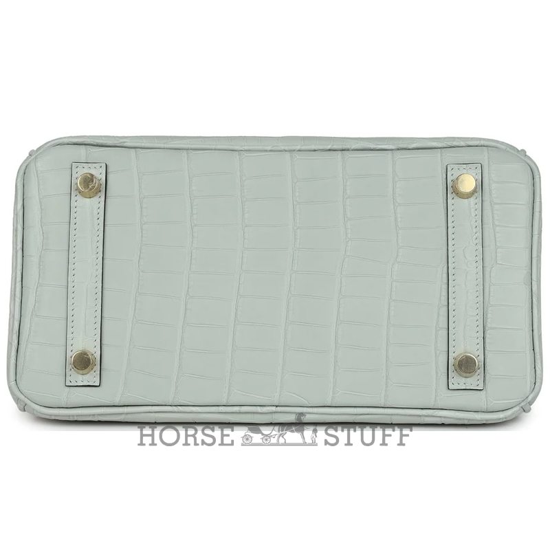 Hermès Birkin 25 Gris Neve Matte Crocodile Alligator GHW