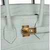 Hermès Birkin 25 Gris Neve Matte Crocodile Alligator GHW
