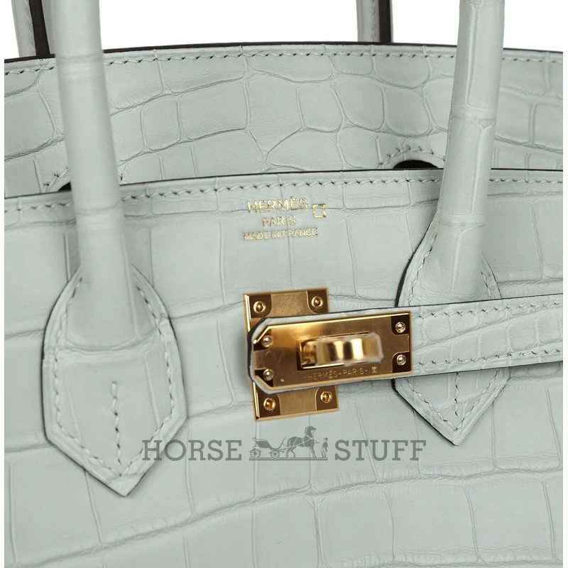 Hermès Birkin 25 Gris Neve Matte Crocodile Alligator GHW
