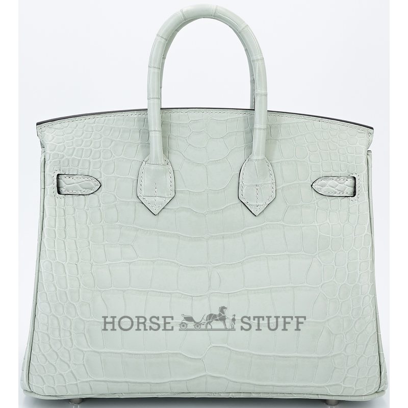 Hermès Birkin 25 Gris Neve Matte Crocodile Alligator PHW