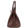 Hermès Birkin 25 Havane Matte Crocodile Alligator PHW