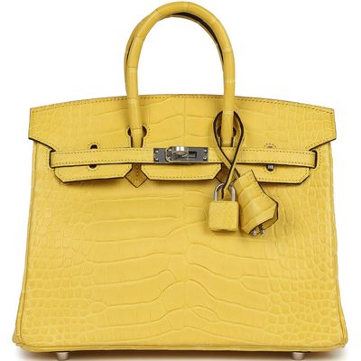 Hermès Birkin 25 Mimosa Matte Crocodile Alligator PHW