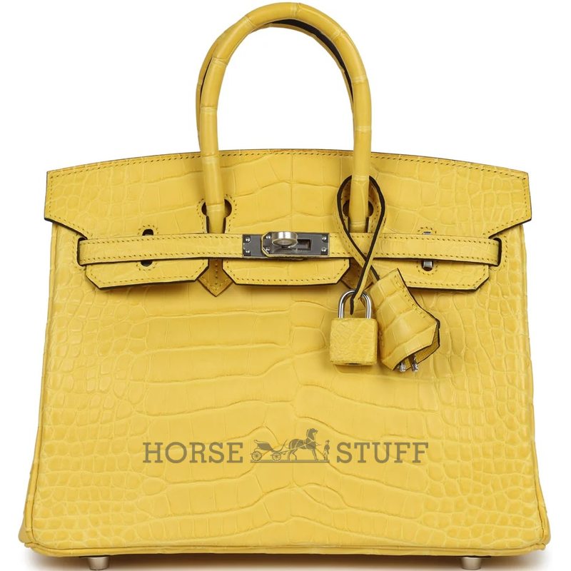 Hermès Birkin 25 Mimosa Matte Crocodile Alligator PHW