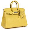 Hermès Birkin 25 Mimosa Matte Crocodile Alligator PHW