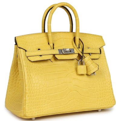 Hermès Birkin 25 Mimosa Matte Crocodile Alligator PHW
