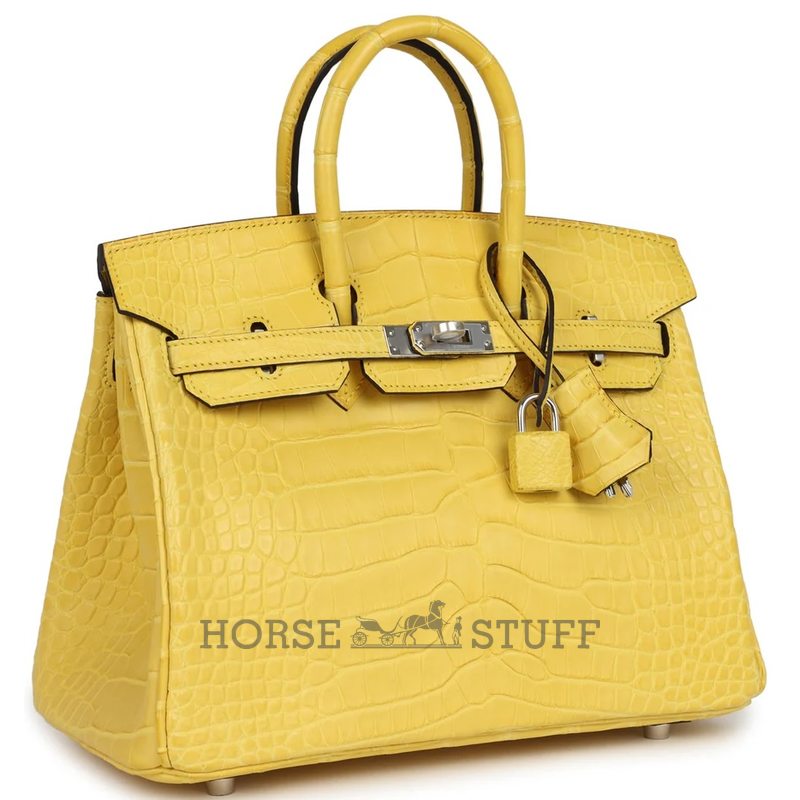 Hermès Birkin 25 Mimosa Matte Crocodile Alligator PHW