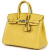 Hermès Birkin 25 Mimosa Matte Crocodile Alligator PHW