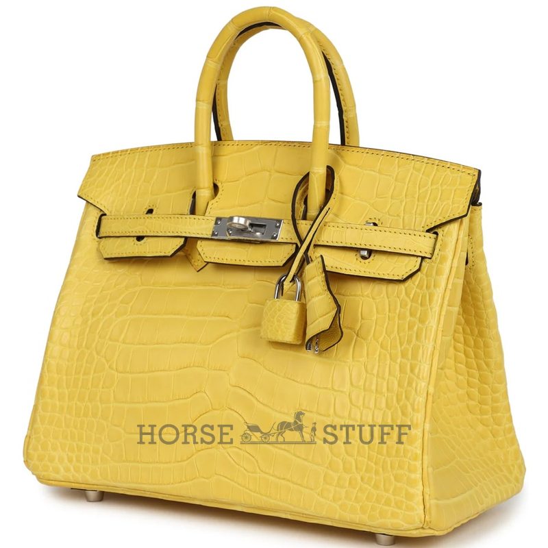 Hermès Birkin 25 Mimosa Matte Crocodile Alligator PHW