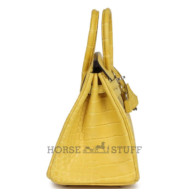 Hermès Birkin 25 Mimosa Matte Crocodile Alligator PHW