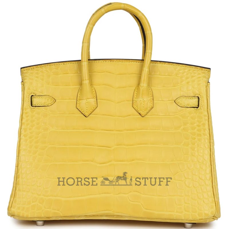 Hermès Birkin 25 Mimosa Matte Crocodile Alligator PHW