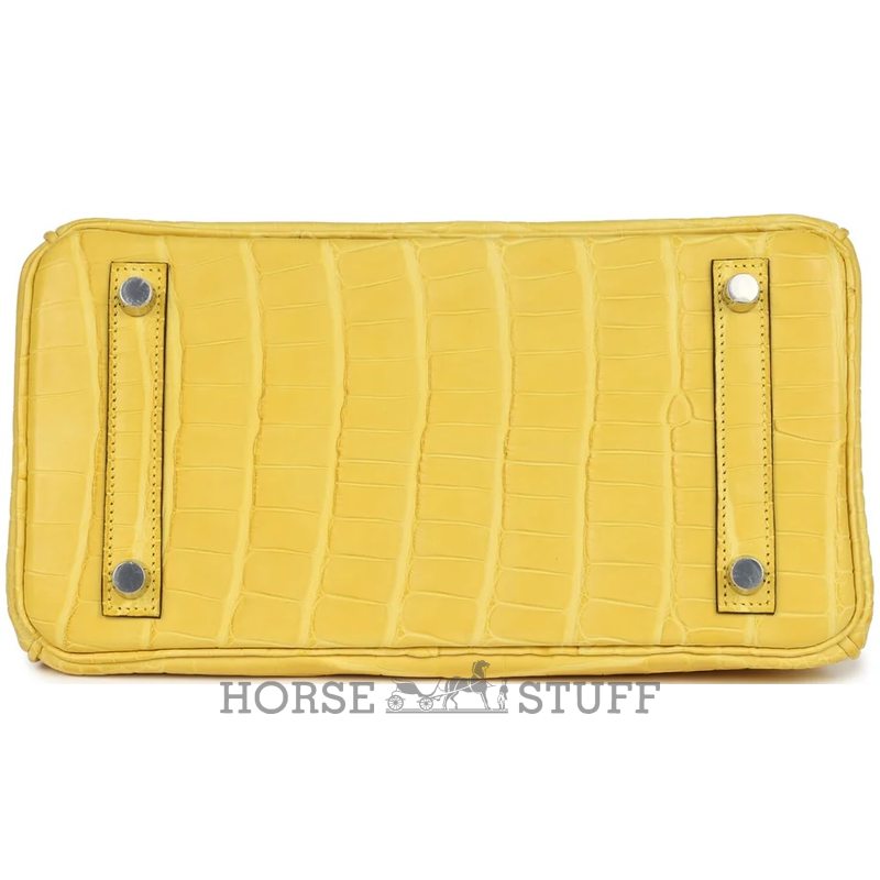 Hermès Birkin 25 Mimosa Matte Crocodile Alligator PHW