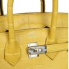 Hermès Birkin 25 Mimosa Matte Crocodile Alligator PHW