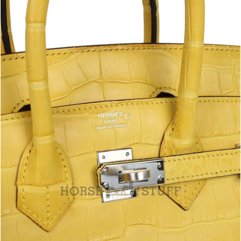 Hermès Birkin 25 Mimosa Matte Crocodile Alligator PHW