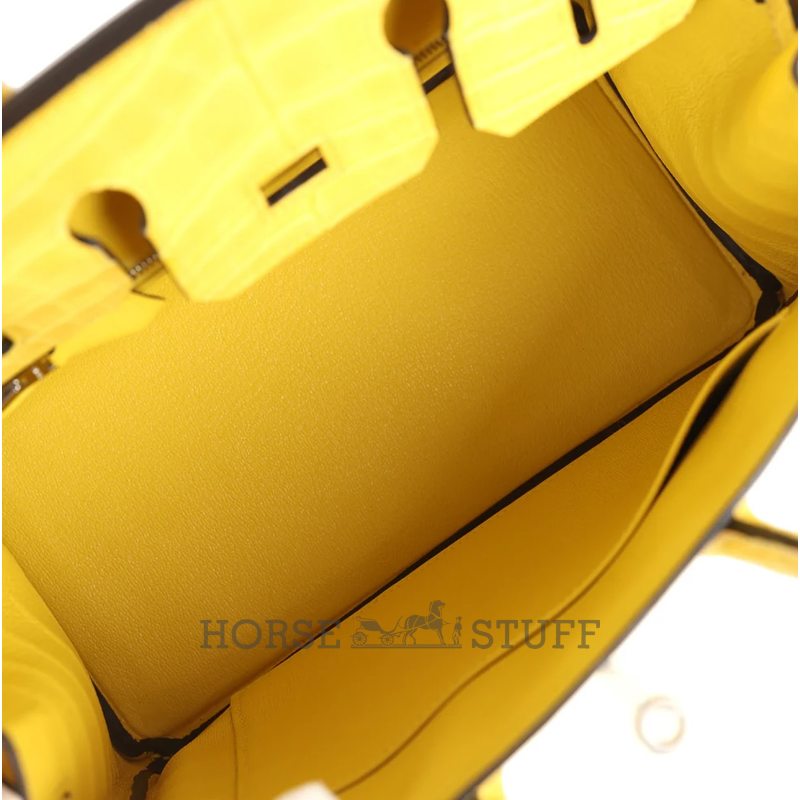 Hermès Birkin 25 Mimosa Matte Crocodile Alligator PHW