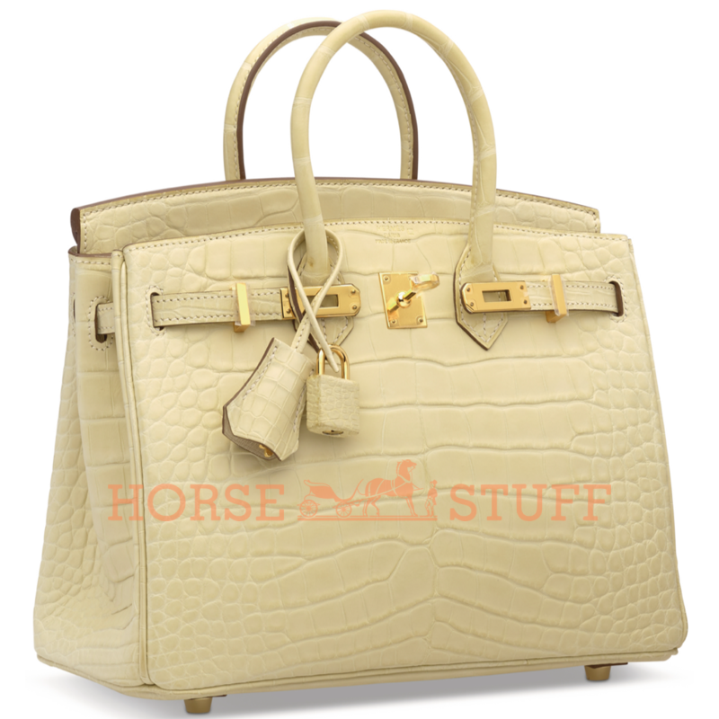 Hermès Birkin 25 Vanilla Matte Crocodile Alligator GHW